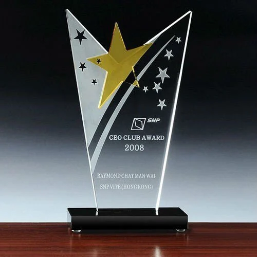 Acrylic Trophy with Golden Star in Middel