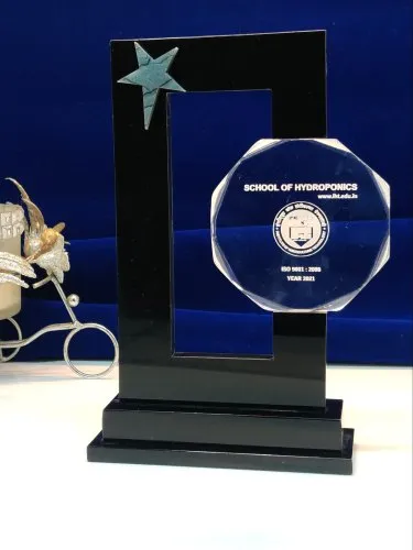 Square Shape with Silver Star Trophy