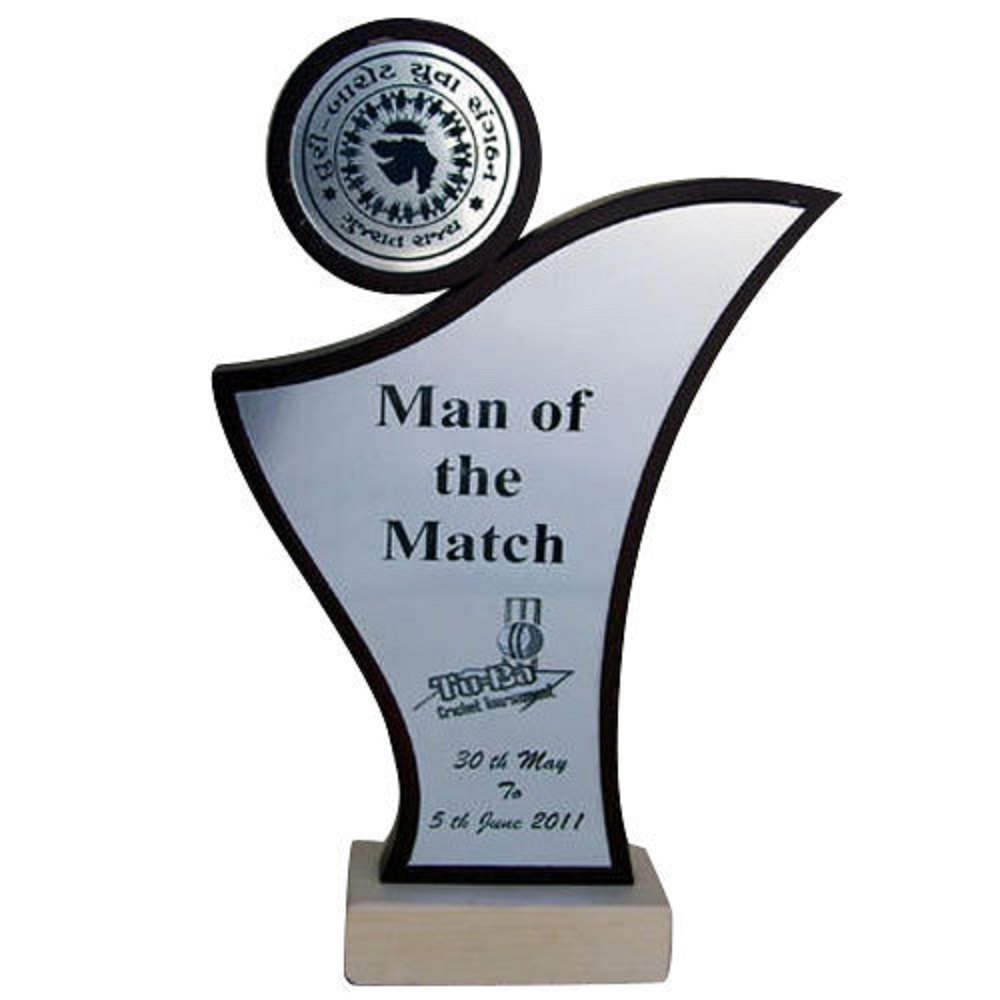 Arcylic Designer Sport Award Trophy